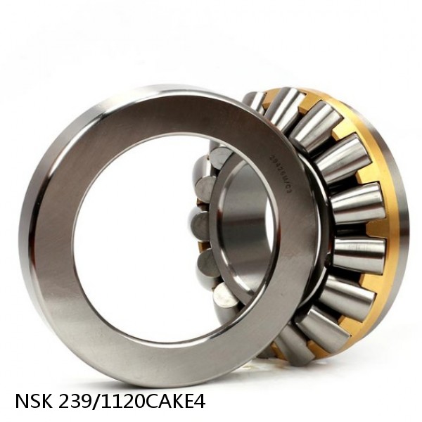 239/1120CAKE4 NSK Spherical Roller Bearing #1 small image