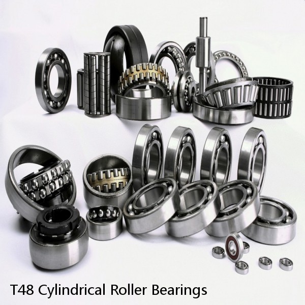 T48 Cylindrical Roller Bearings #1 image