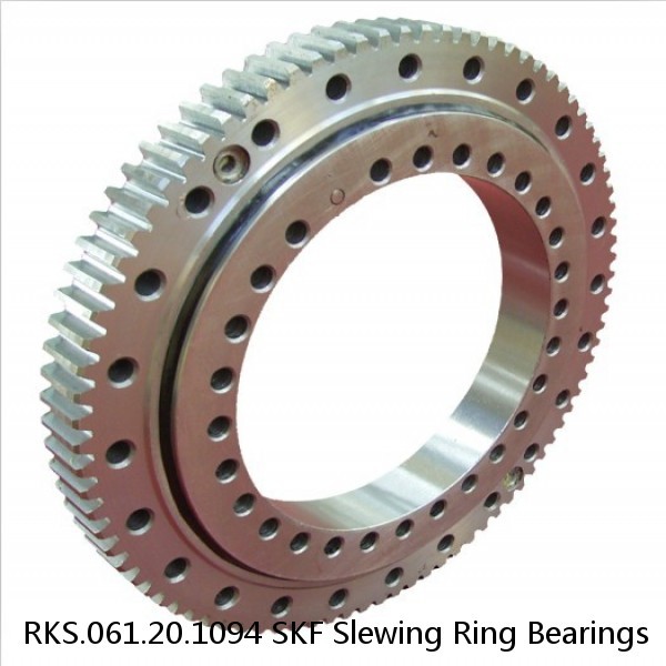 RKS.061.20.1094 SKF Slewing Ring Bearings #1 image