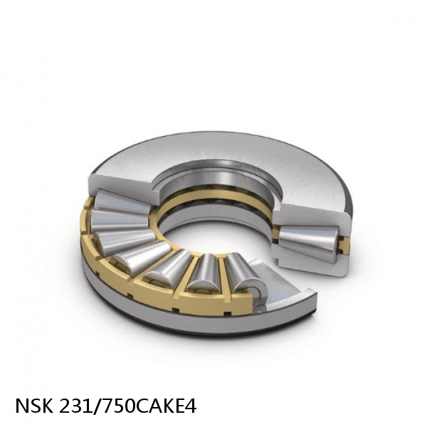 231/750CAKE4 NSK Spherical Roller Bearing #1 image